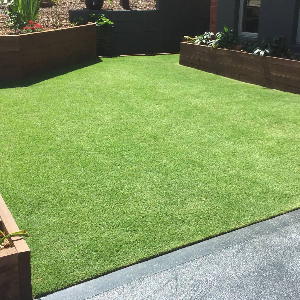 INSTANT TURF - TIFTUF HYBRID COUCH