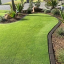 INSTANT TURF - SIR GRANGE ZOYSIA