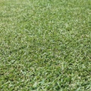INSTANT TURF - EUREKA PREMIUM VG KIKUYU
